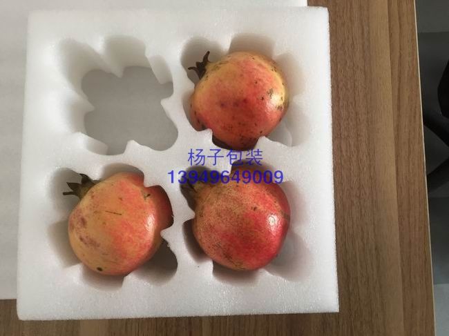 河南EPE珍珠棉异型材 (65)